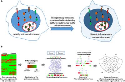 Integrative Computational Network Analysis Reveals Site-Specific Mediators of Inflammation in Alzheimer's Disease